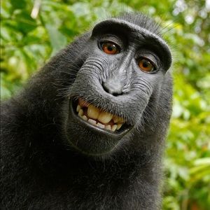 Meet your Posher, Brenna